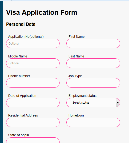 Visa processing information system