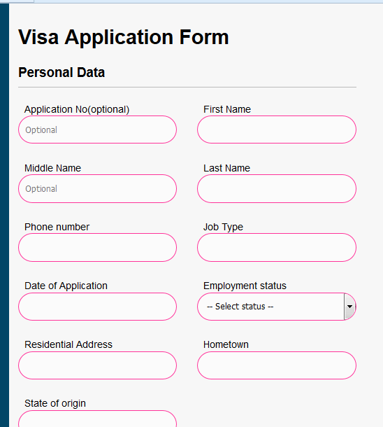 Visa processing information system Visa processing information system