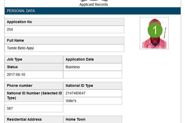 Visa processing information system