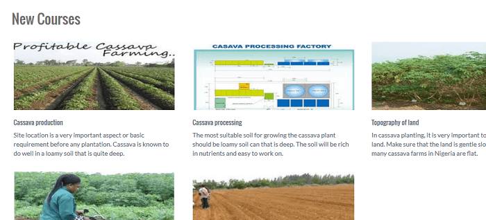 Online support system for cassava farming and production (PHP source codes)