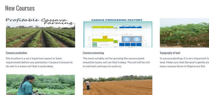 Online support system for cassava farming and production (PHP source codes) Online support system for cassava farming and production (PHP source codes)